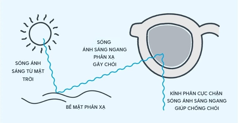 Cơ chế chống chói của kính cận phân cực